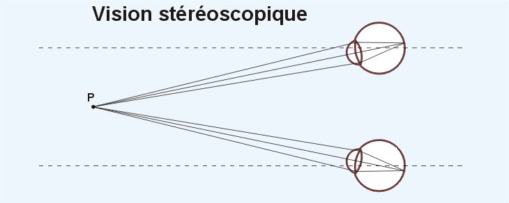 La vision stéréoscopique